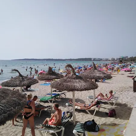 Trendy Homestay Palma de Mallorca